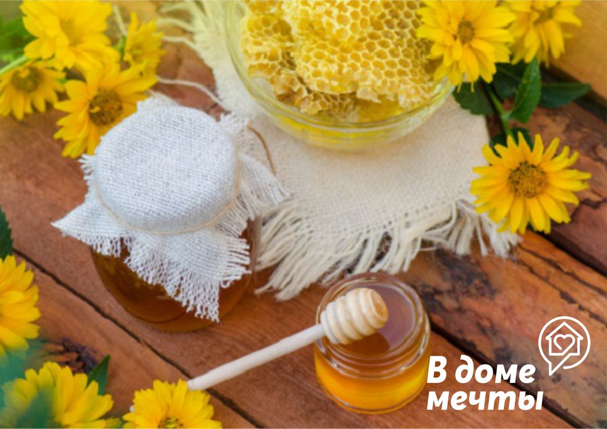 Не нужно хранить мёд в таре из сосны, дуба или осины