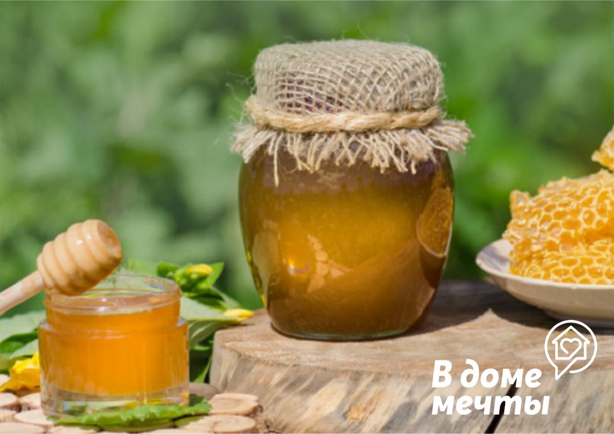 Мёд в сотах нужно предварительно разрезать на кусочки и хранить в герметичной таре