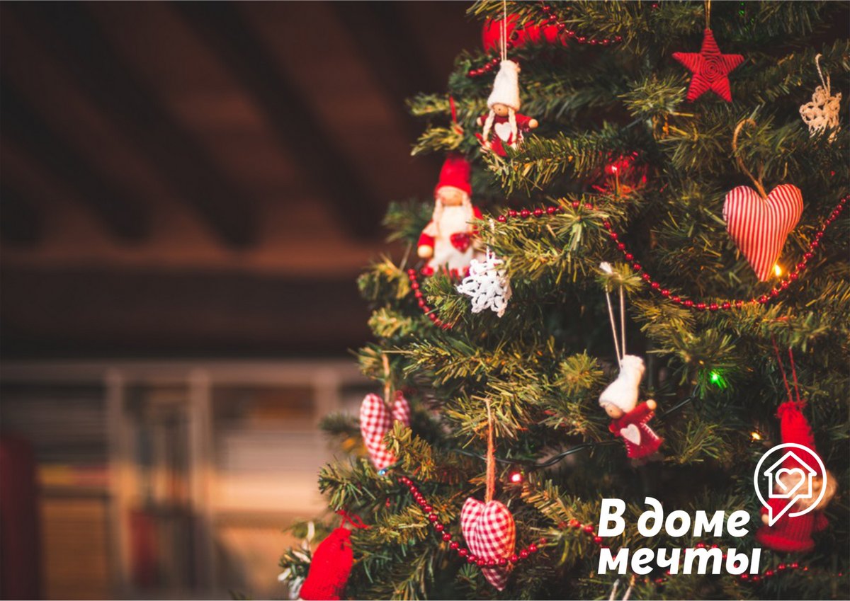 Чтобы продлить жизнь новогодней елке, нужно правильно ухаживать за символом зимних праздников! 