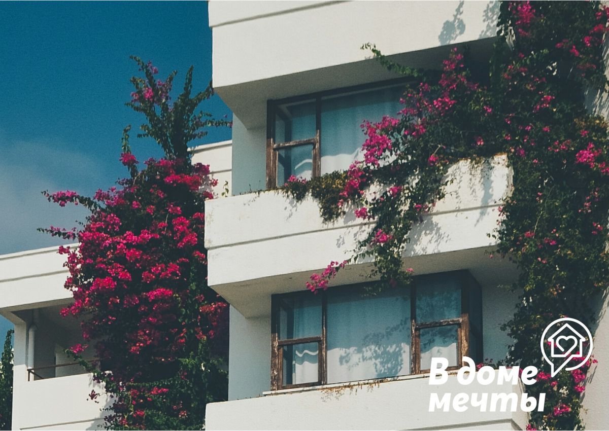 Цветы на балконе - выбор и уход за самыми красивыми видами